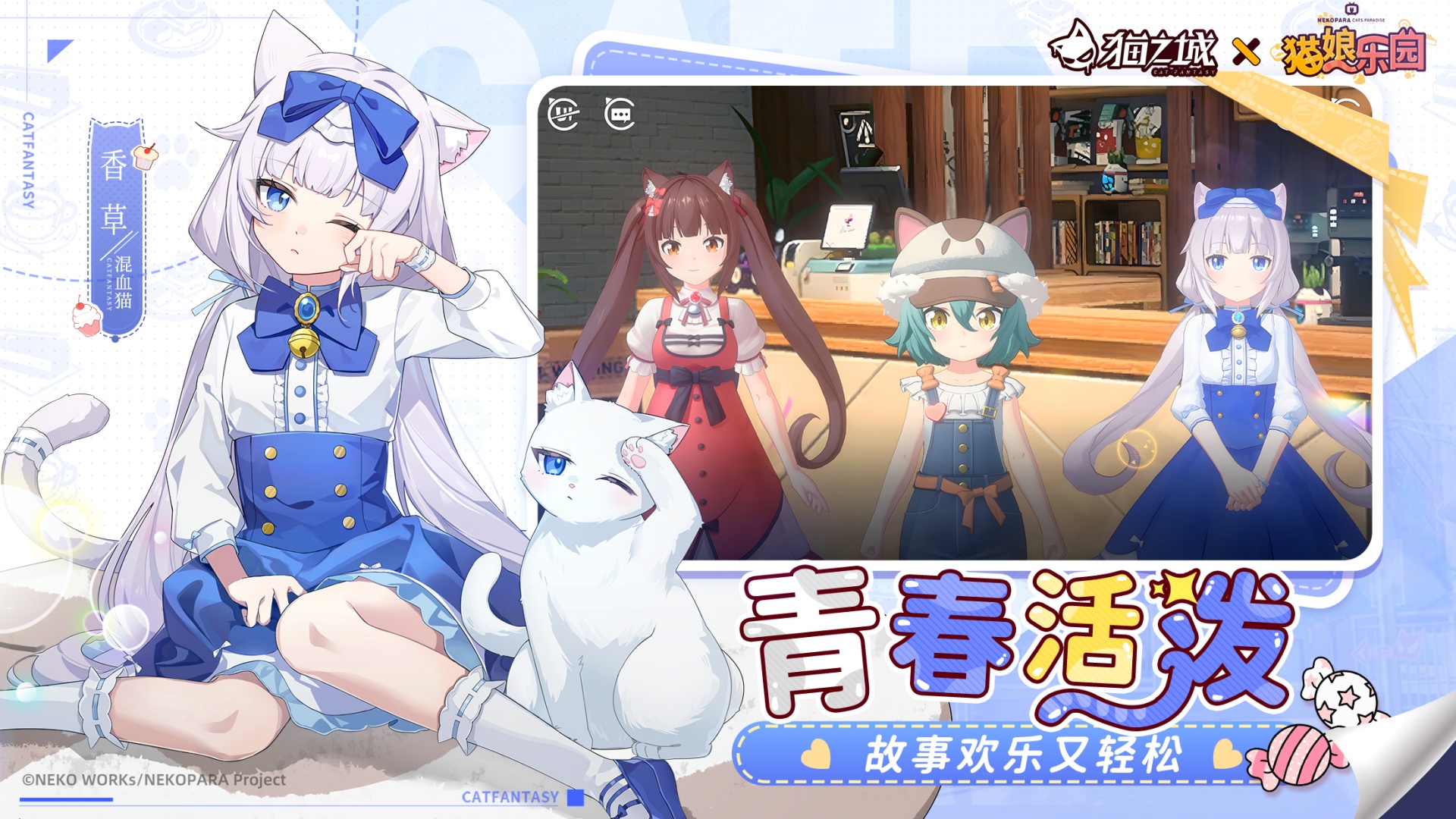 猫之城
